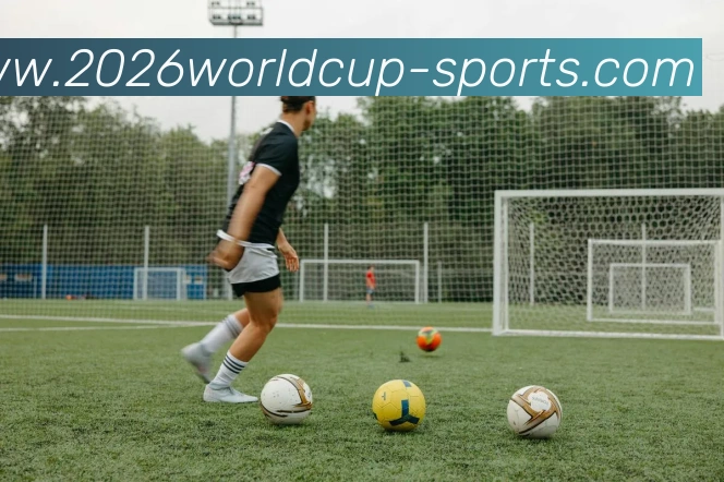 2026世界杯足球赛平台生态图